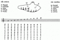 /album/flauta/image41-gif/